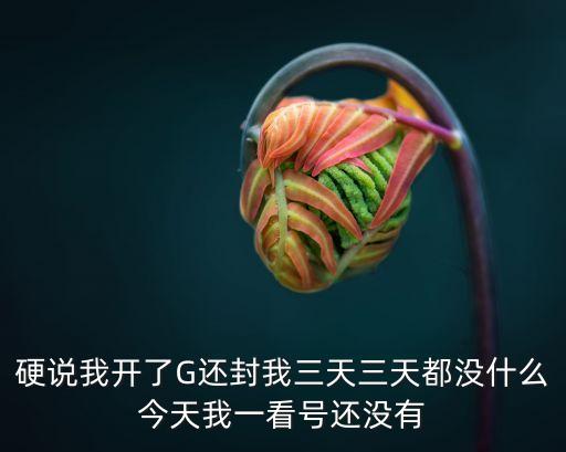 硬说我开了G还封我三天三天都没什么今天我一看号还没有