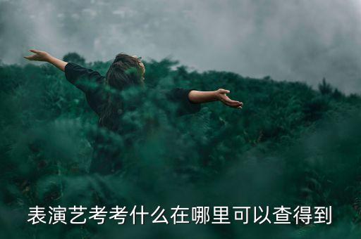 表演艺考考什么在哪里可以查得到
