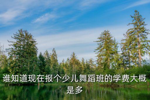 谁知道现在报个少儿舞蹈班的学费大概是多