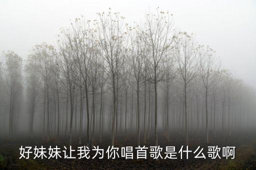 好妹妹让我为你唱首歌是什么，好妹妹让我为你唱首歌什么歌是一个DJ里面的歌曲