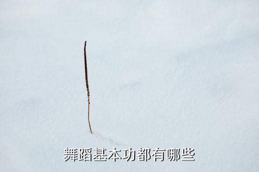舞蹈基本功都有哪些