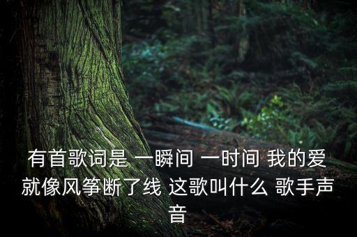 爱像风筝断了线是什么歌，有首歌词是 一瞬间 一时间 我的爱就像风筝断了线 这歌叫什么 歌手声音
