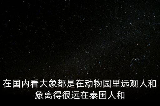 在国内看大象都是在动物园里远观人和象离得很远在泰国人和