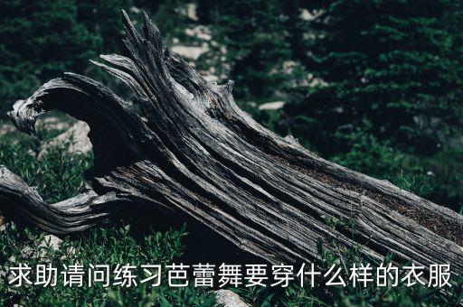 求助请问练习芭蕾舞要穿什么样的衣服