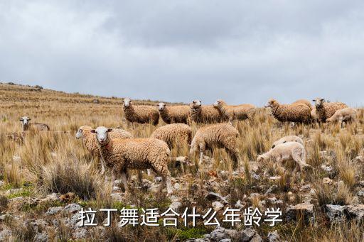 拉丁舞适合什么年龄学
