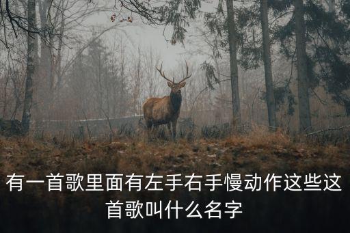 有一首歌里面有左手右手慢动作这些这首歌叫什么名字