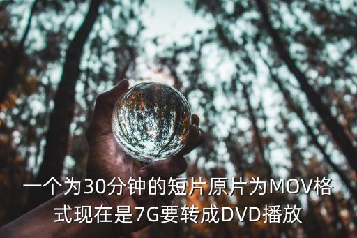 一个为30分钟的短片原片为MOV格式现在是7G要转成DVD播放