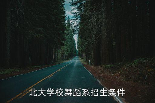 北大学校舞蹈系招生条件