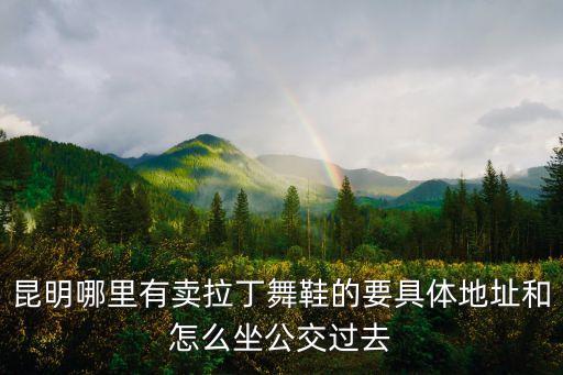 昆明哪里有卖拉丁舞鞋的要具体地址和怎么坐公交过去