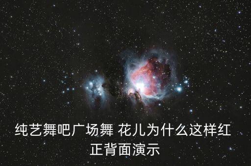 纯艺舞吧广场舞 花儿为什么这样红 正背面演示