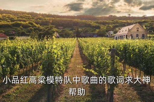 小品红高粱模特队中歌曲的歌词求大神帮助