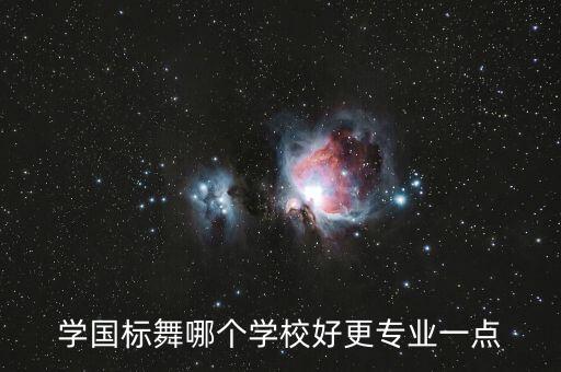 学国标舞哪个学校好更专业一点