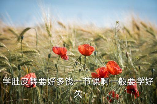 深圳肚皮舞班多少钱，请问学肚皮舞贵不贵呀