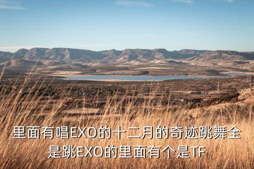 里面有唱EXO的十二月的奇迹跳舞全是跳EXO的里面有个是TF