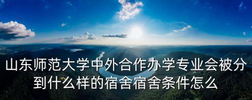 山东师范大学中外合作办学专业会被分到什么样的宿舍宿舍条件怎么