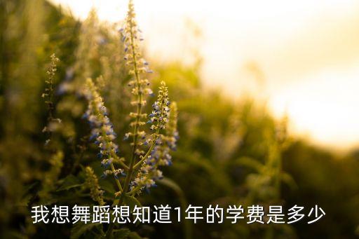 舞蹈艺考培训半年学费，音乐培训机构培训半年多少钱