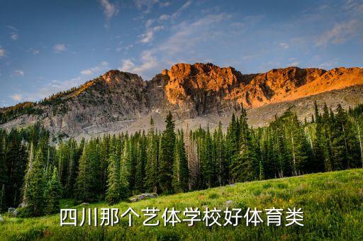 四川体育高中学校有哪些，四川有哪些高中生读的体校