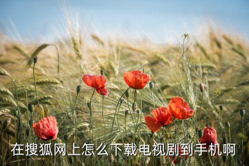 搜狐电视剧下载安装，在搜狐网上怎么下载电视剧到手机啊