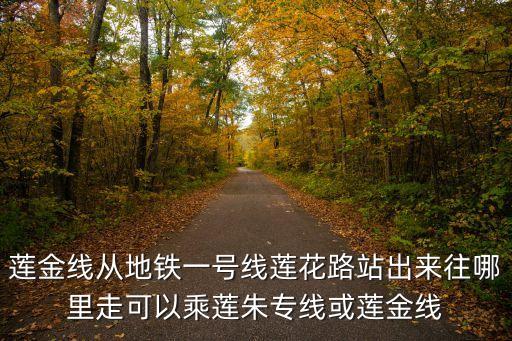 莲金线从地铁一号线莲花路站出来往哪里走可以乘莲朱专线或莲金线