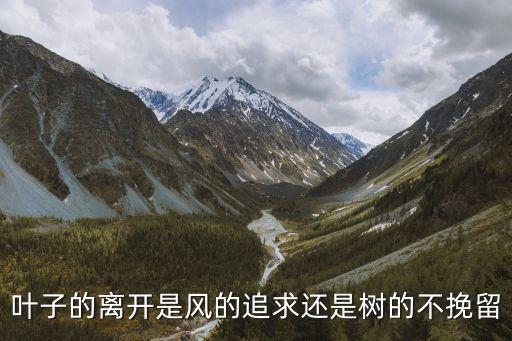叶子心要痛到什么时候，树叶在落叶时树疼还是叶子疼