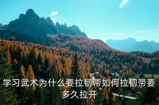 踢腿和拉韧带有什么不同，踢腿的训练目的和任务是什么