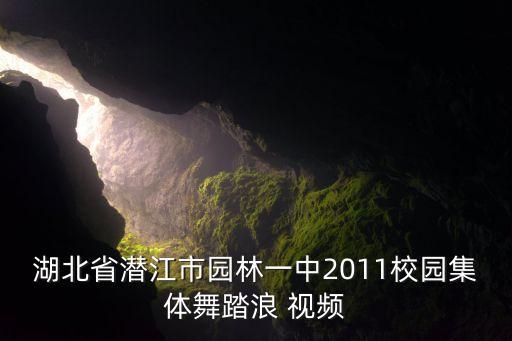 广场舞踏浪舞蹈视频大全，踏浪舞蹈视频怎样下载