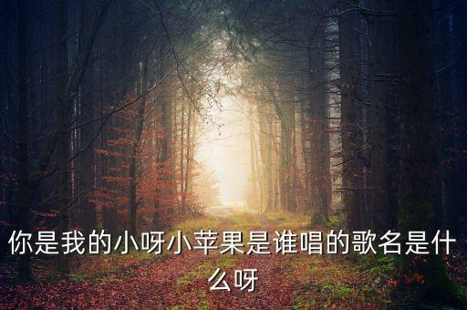 你是我的小呀小苹果是谁唱的歌名是什么呀