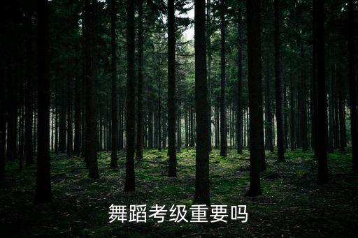 舞蹈考级重要吗