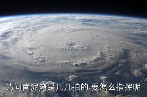 请问南泥湾是几几拍的 要怎么指挥呢