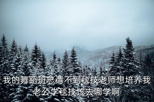 舞蹈毯技课学什么，我的舞蹈班总请不到毯技老师想培养我老公学毯技该去哪学啊