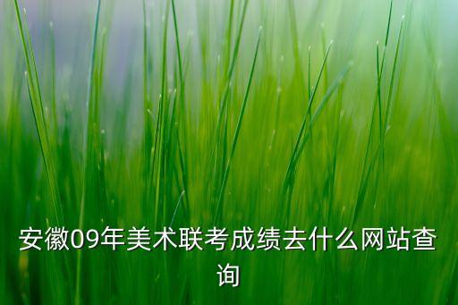 安徽09年美术联考成绩去什么网站查询