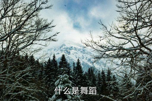 什么是舞蹈