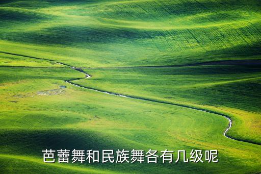 北舞芭蕾共多少级，芭蕾舞和民族舞各有几级呢