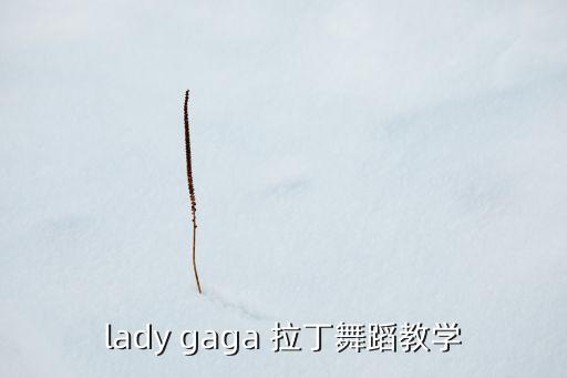lady gaga 拉丁舞蹈教学
