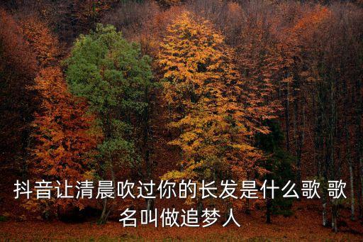 风吹过你的长发什么歌，风儿吹动着你的长发街边的霓虹灯发现你的美是哪首歌啊