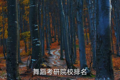舞蹈考研院校排名