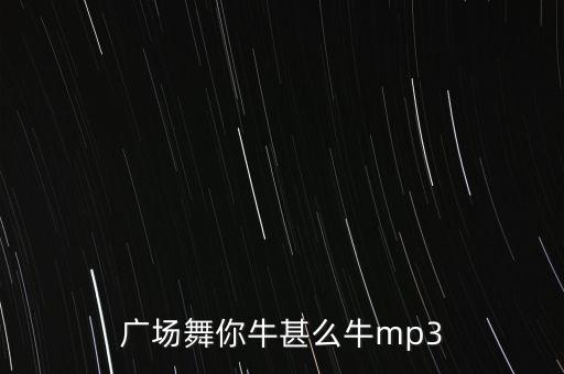 你牛什么牛所有广场舞，广场舞你牛甚么牛mp3