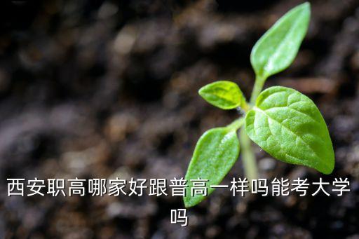 西安职高哪家好跟普高一样吗能考大学吗