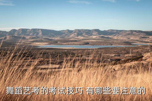 舞蹈艺考的考试技巧 有哪些要注意的