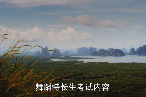 高考舞蹈特长生怎么考，舞蹈高考艺考考什么 舞蹈生考试应该注意什么