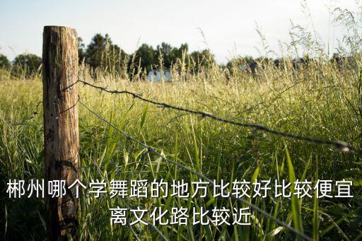 郴州哪个学舞蹈的地方比较好比较便宜离文化路比较近