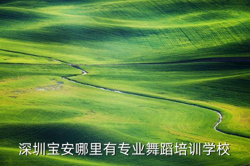 深圳宝安哪里有专业舞蹈培训学校