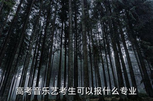 高考音乐艺考生可以报什么专业