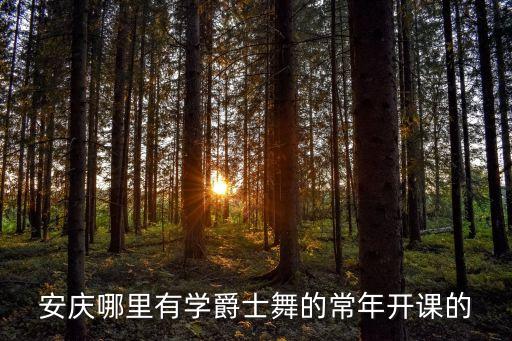 安庆哪里有学爵士舞的常年开课的