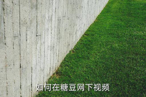 如何在糖豆网下视频