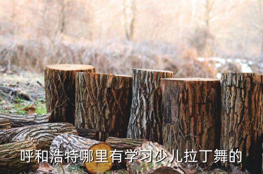 呼市广场舞哪里多，呼和浩特哪里有教拉丁舞或者瑜伽的地方