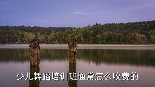 舞蹈机构收费标准，艺蓉舞蹈学校是怎么收费的啊