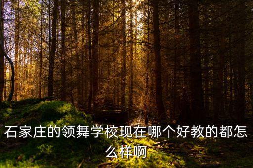 石家庄的领舞学校现在哪个好教的都怎么样啊