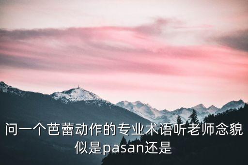 芭蕾术语旁腿转怎么说，问一个芭蕾动作的专业术语听老师念貌似是pasan还是