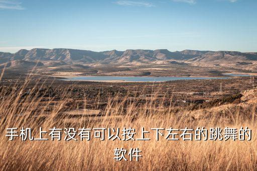 手机上有没有可以按上下左右的跳舞的软件